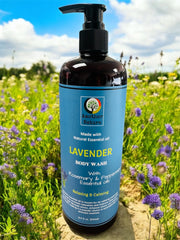 Lavender - Body Wash Infuse with Rosemary & Peppermint oil - 16oz