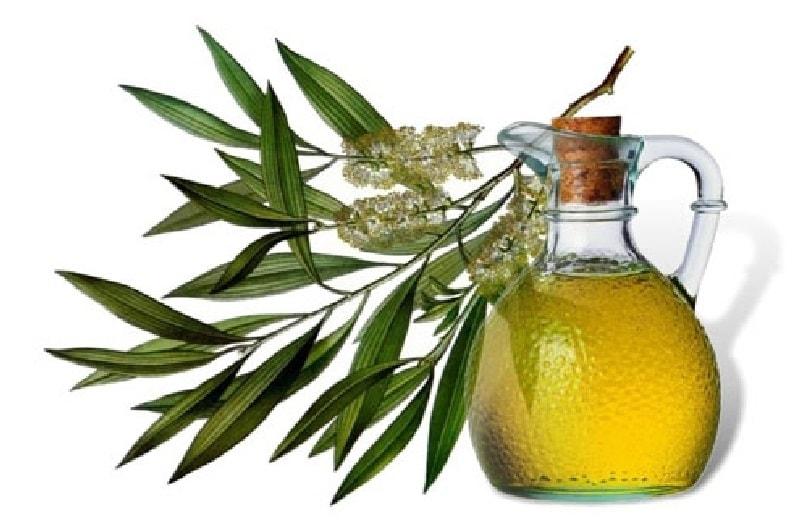 Tea-tree-oil-for-