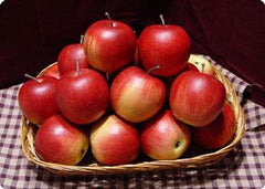 MACINTOSH APPLE TYPE *NEW FALL SCENTS*