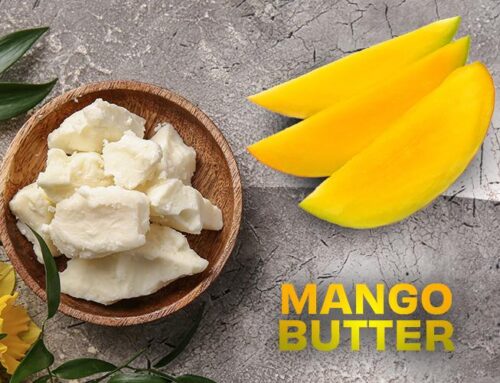 Natural Butters: The Mango Butter Wars