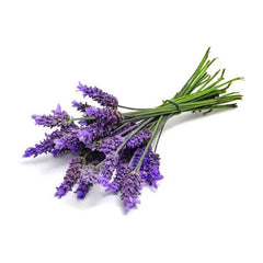 LAVENDER ESSENTIAL OIL
