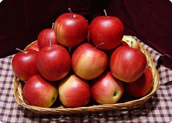 MACINTOSH APPLE TYPE *NEW FALL SCENTS*