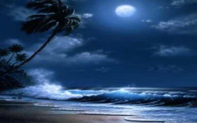 MOONLIGHT PATH TYPE